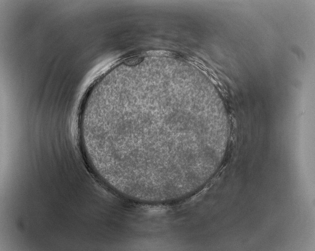 X0000116580245201001071219