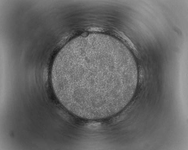 X0000116580257201001071219