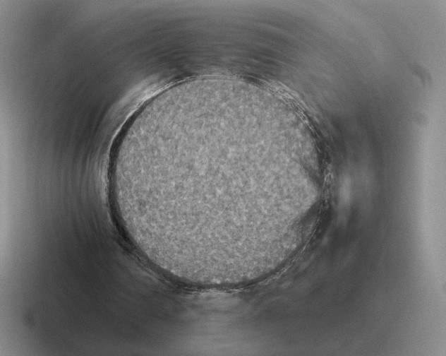 X0000116580290201001071219