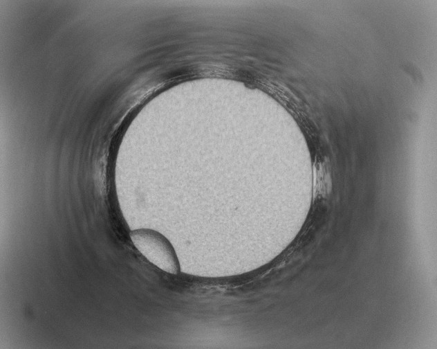 X0000116580291201001071219