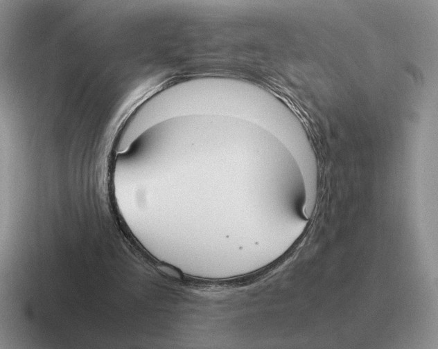X0000116580293201001071219