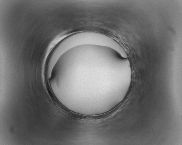X0000116580294201001071219