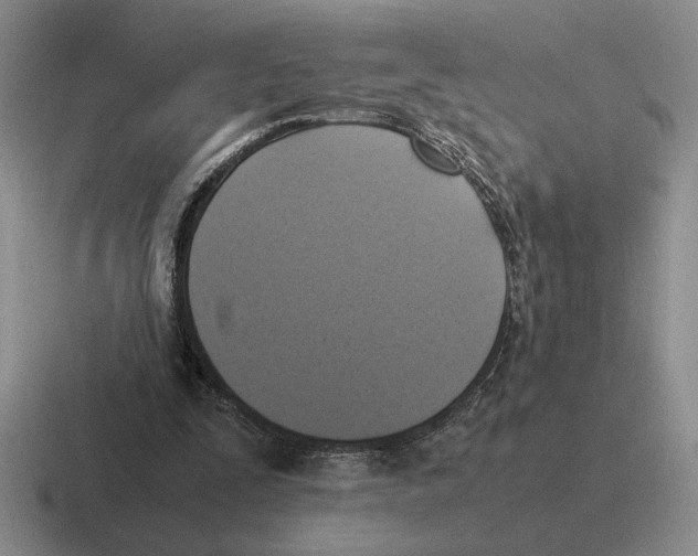 X0000116580295201001071219