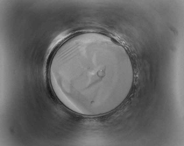 X0000116580296201001071219