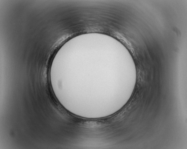 X0000116580298201001071219