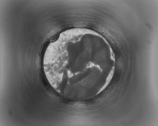 X0000116580303201001071219