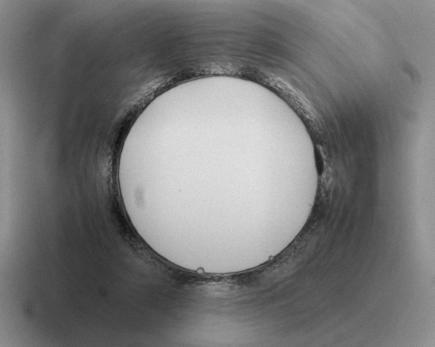 X0000116580306201001071219