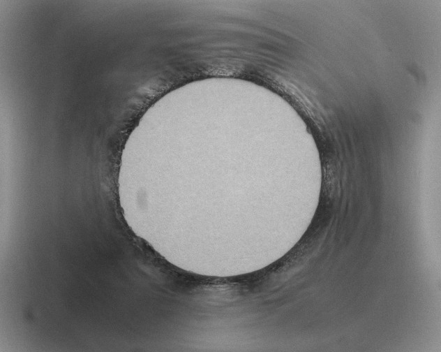 X0000116580307201001071219