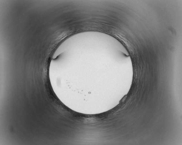 X0000116580309201001071219