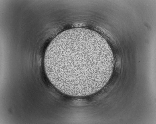 X0000116580315201001071219