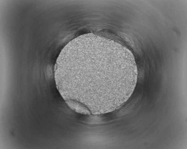 X0000116580335201001071219