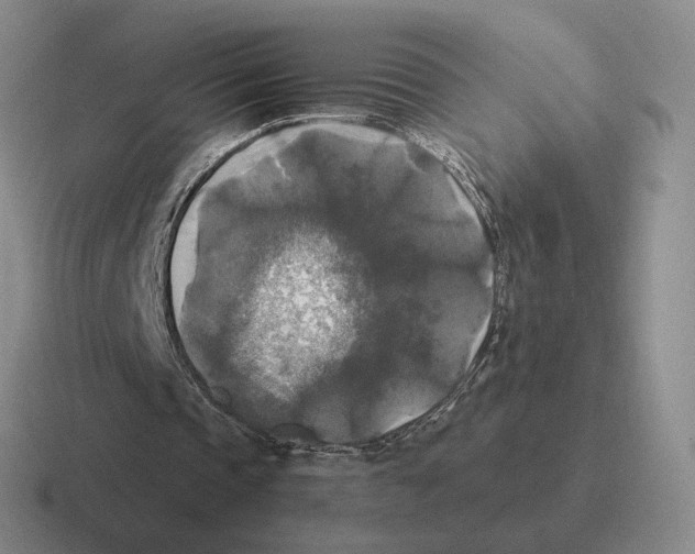 X0000116580337201001071218