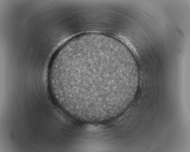 X0000116580346201001071218
