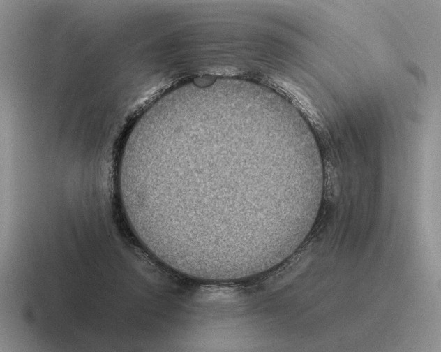 X0000116580354201001071218
