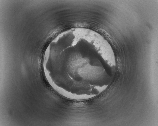 X0000116580357201001071218