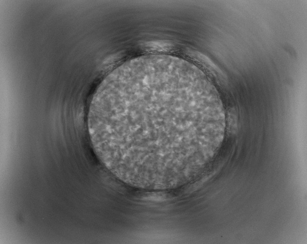 X0000116580377201001071219