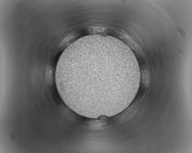 X0000116580378201001071219