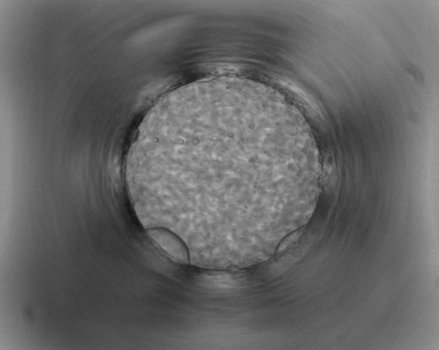 X0000116580381201001071219
