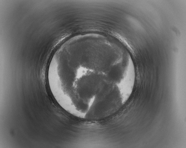 X0000116580386201001071218
