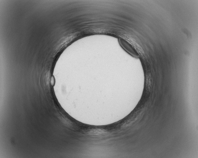 X0000116580397201001071218