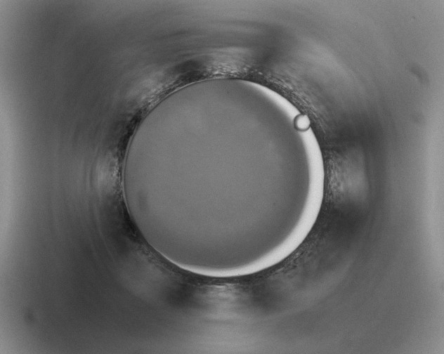 X0000116580411201001071218