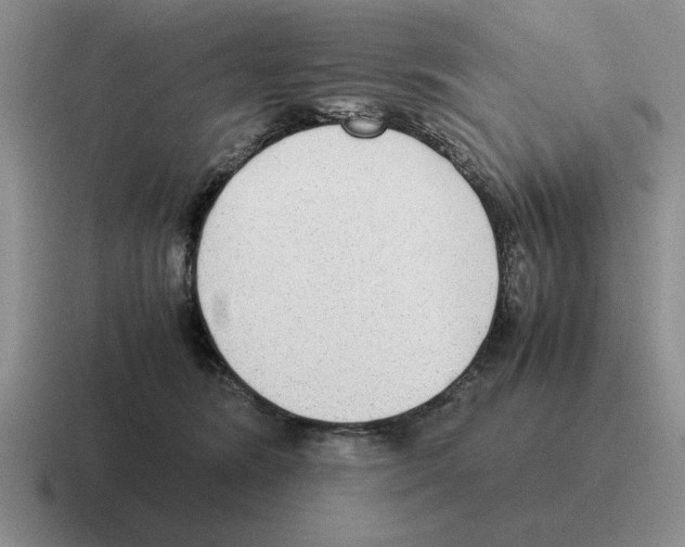 X0000116580420201001071218