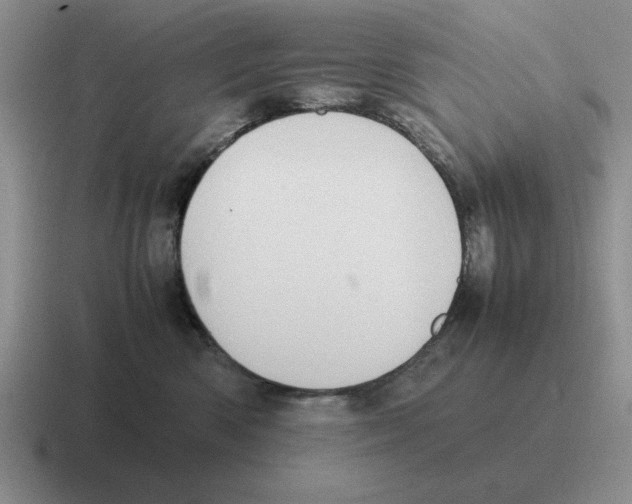 X0000116580426201001071218