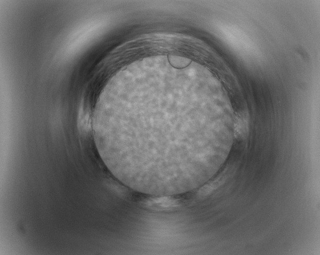 X0000116580431201001071217