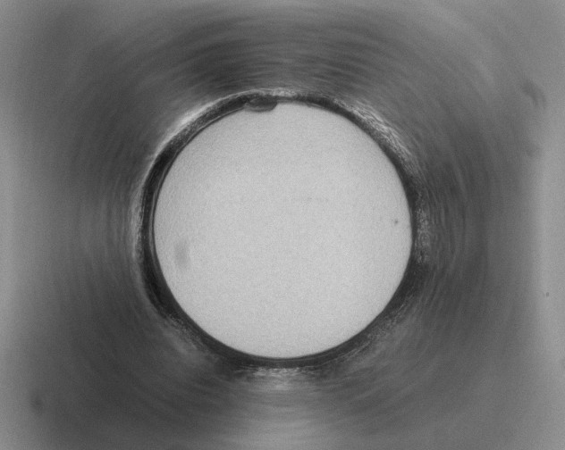 X0000116580440201001071217