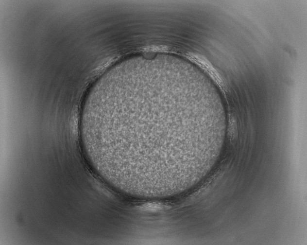 X0000116580441201001071217