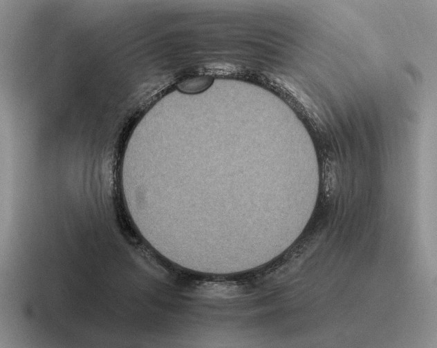 X0000116580455201001071217