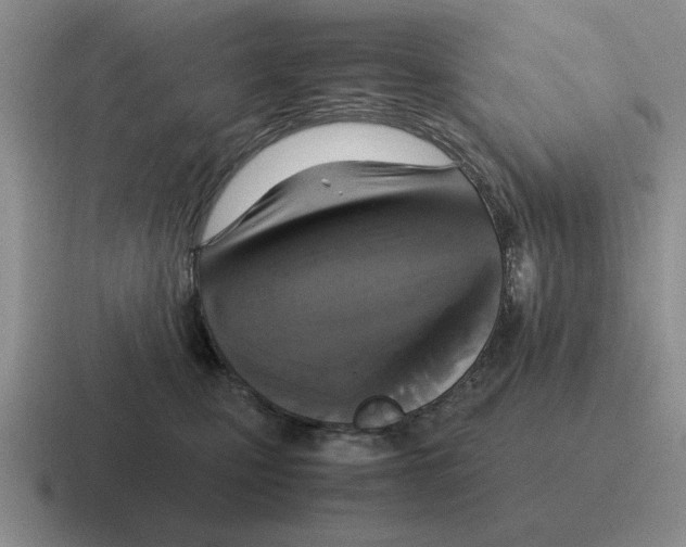 X0000116580471201001071217