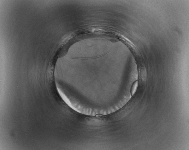 X0000116580475201001071217