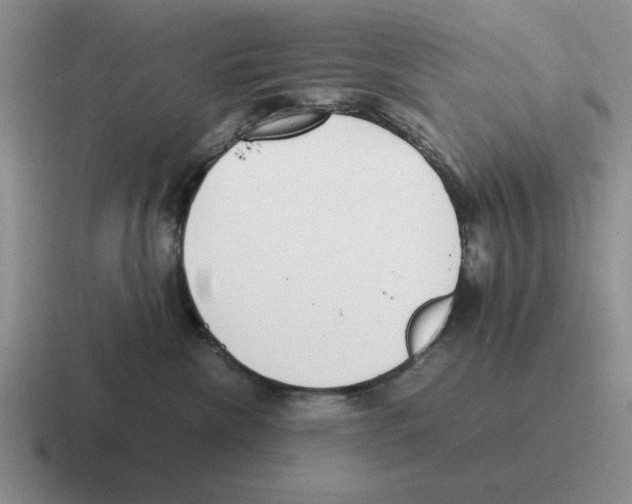 X0000116580476201001071217