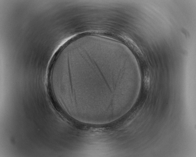 X0000116580484201001071217