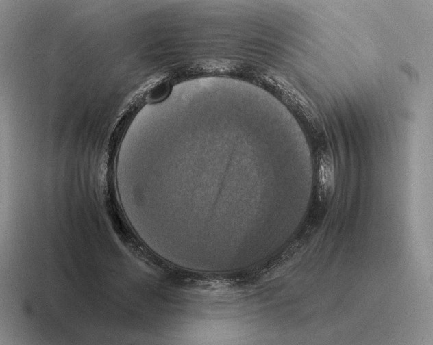 X0000116580492201001071217