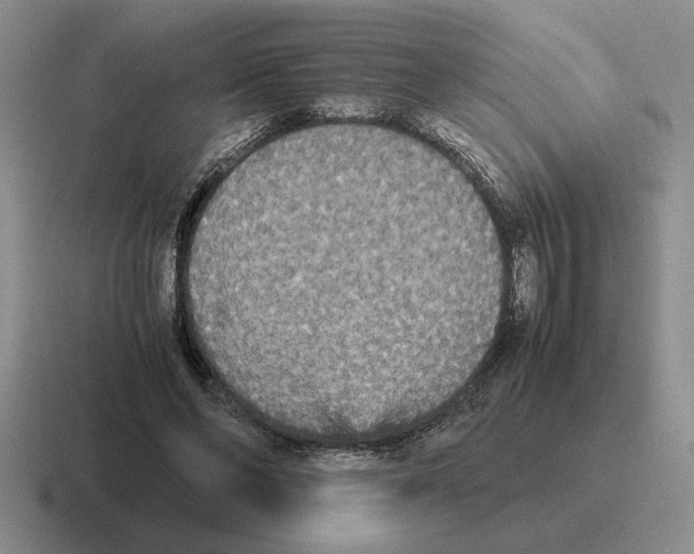 X0000116580494201001071217