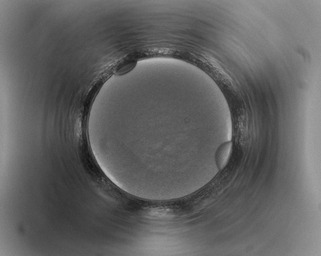 X0000116580500201001071217