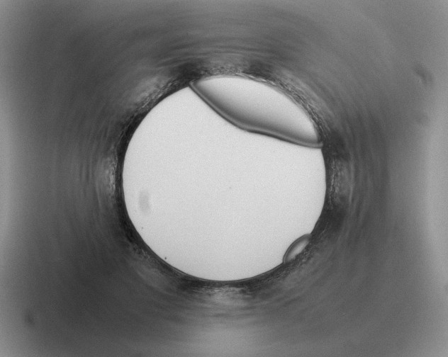 X0000116580501201001071217