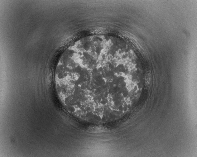 X0000116580503201001071217