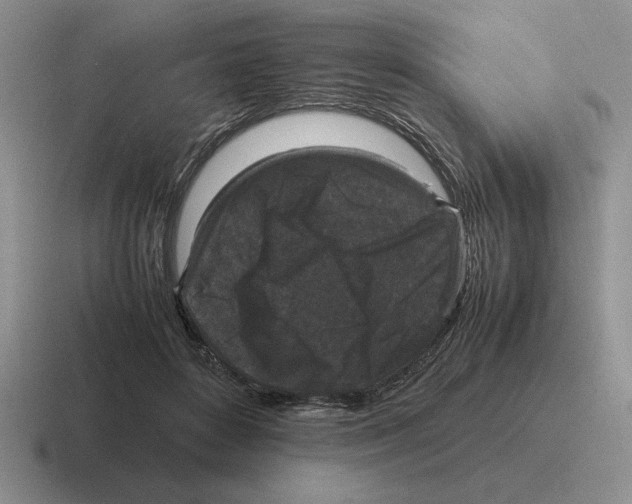 X0000116580504201001071217