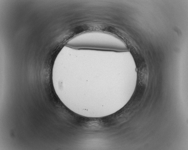 X0000116580505201001071217
