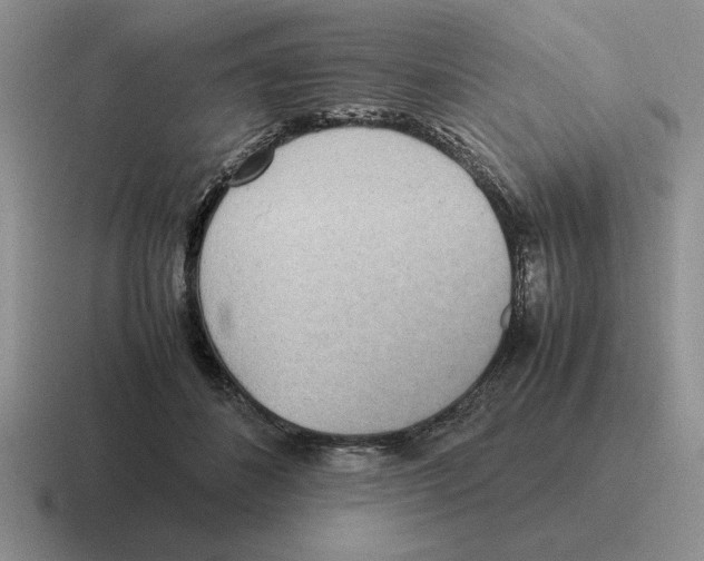 X0000116580508201001071217