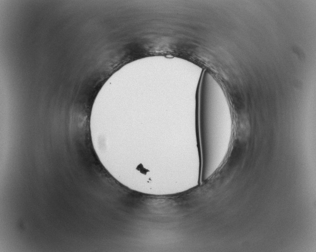 X0000116580521201001071216