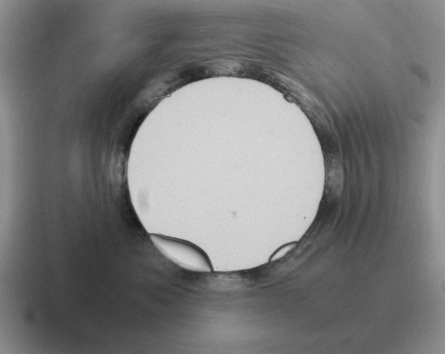 X0000116580525201001071216