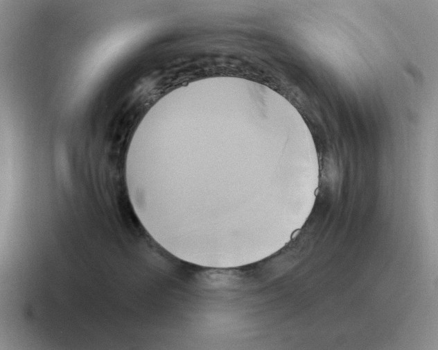 X0000116580526201001071216