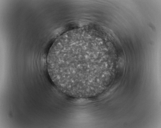 X0000116580527201001071216