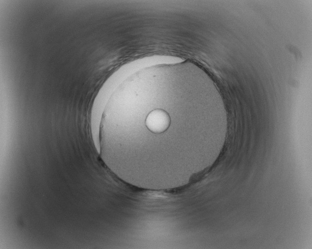 X0000116580528201001071216