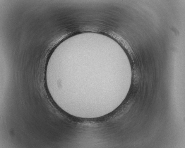 X0000116580529201001071216
