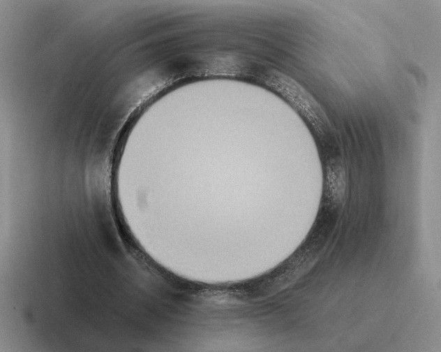 X0000116580534201001071216
